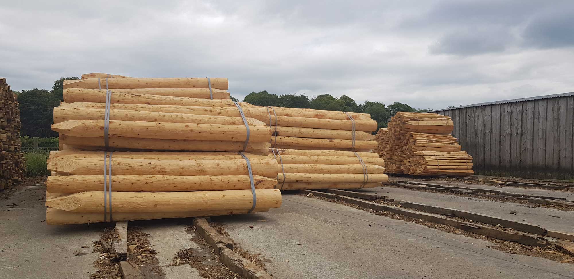 Large timber posts at the sawmill